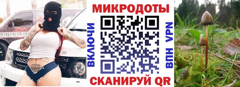 Псилоцибиновые грибы ЛСД  Купить  Избербаш 