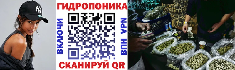 Купить закладки  Избербаш  Каннабис сатива 